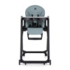 BN-361878,Scaun de masa, Petite&Mars, Tasty, Multifunctional 3 in 1, Pana la 15 kg, Reglabil pe inaltime in 7 pozitii, Spatar re