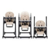 BN-361878,Scaun de masa, Petite&Mars, Tasty, Multifunctional 3 in 1, Pana la 15 kg, Reglabil pe inaltime in 7 pozitii, Spatar re