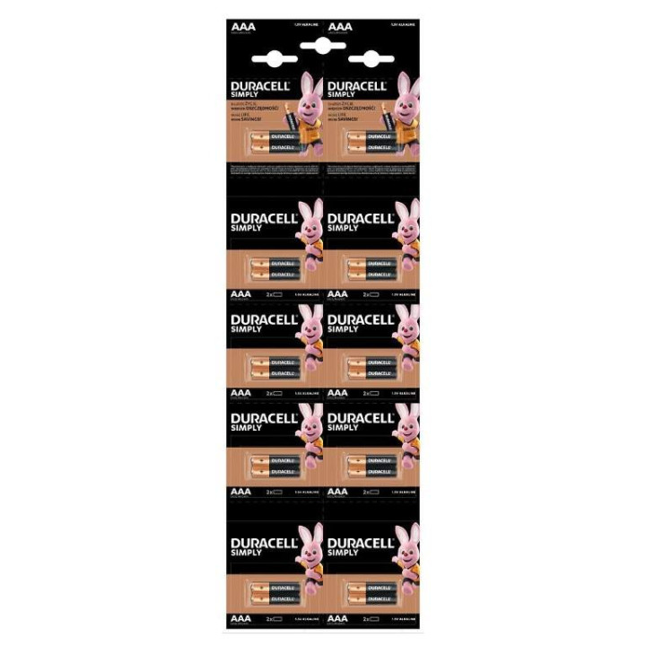 1100004626,Baterie alcalina Duracell Basic R3 (AAA) 2x 10 buc/blister