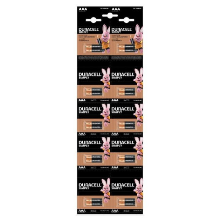 1100004626,Baterie alcalina Duracell Basic R3 (AAA) 2x 10 buc/blister