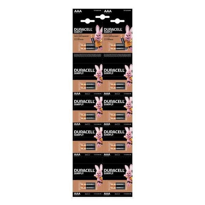 1100004626,Baterie alcalina Duracell Basic R3 (AAA) 2x 10 buc/blister