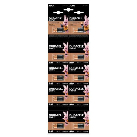 1100004626,Baterie alcalina Duracell Basic R3 (AAA) 2x 10 buc/blister