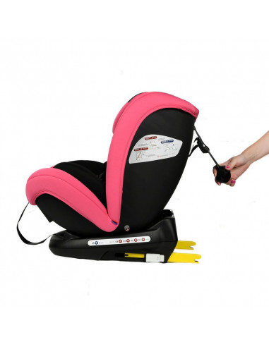 Scaun Auto Riola cu Isofix Crocodile Roz 0 36 kg 135 grade