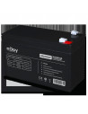 ACUMULATOR UPS NJOY GPL09122F 12V