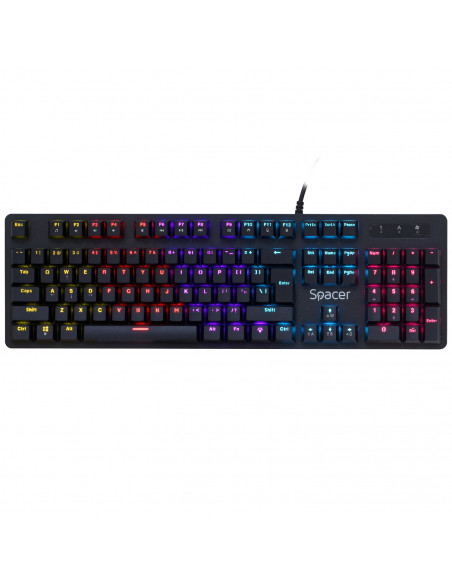 TASTATURA MECANICA SPACER USB WARRIOR, switch-uri mecanice