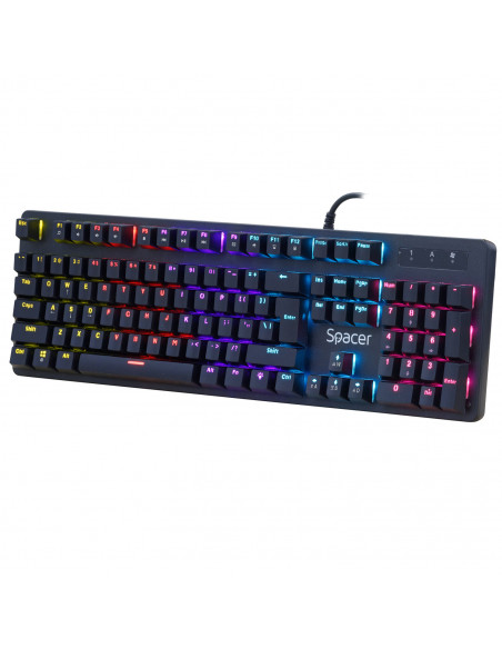 TASTATURA MECANICA SPACER USB WARRIOR, switch-uri mecanice