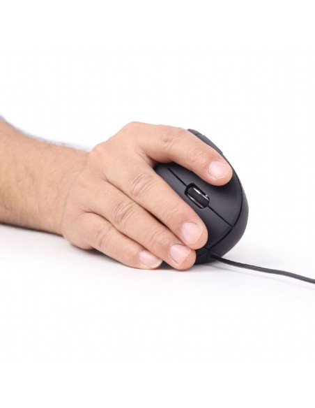 MOUSE GEMBIRD, notebook, PC, cu fir, optic, USB, 3200 dpi, 6/1 MOUSE GEMBIRD, notebook, PC, cu fir, optic, USB, 3200 dpi, 6/1