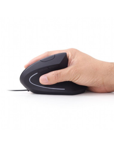 MOUSE GEMBIRD, notebook, PC, cu fir, optic, USB, 3200 dpi, 6/1 MOUSE GEMBIRD, notebook, PC, cu fir, optic, USB, 3200 dpi, 6/1
