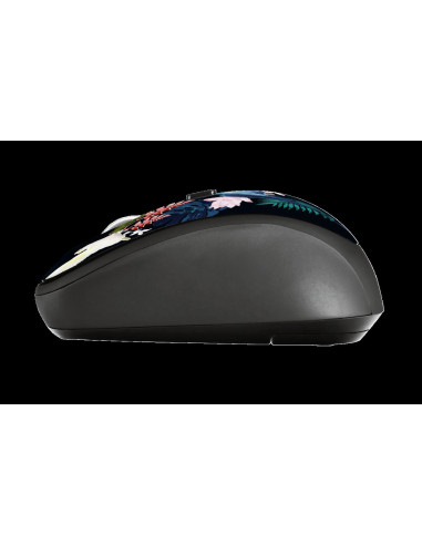 MOUSE TRUST, "Yvi" notebook, PC, wireless, optic, USB, 1600