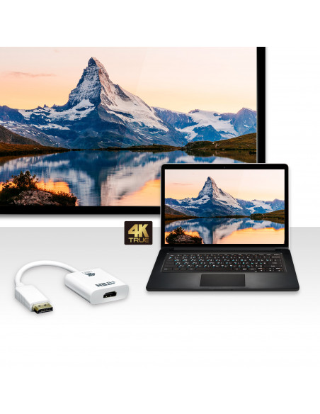 CABLU video ATEN, cablu or adaptor video, DisplayPort (T) la