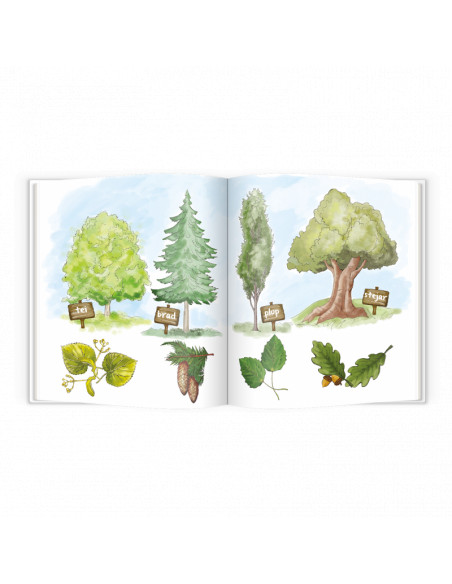 Carte educativa "Pupo invata sa protejeze natura",C3