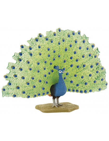 Paun,BL4007176693902