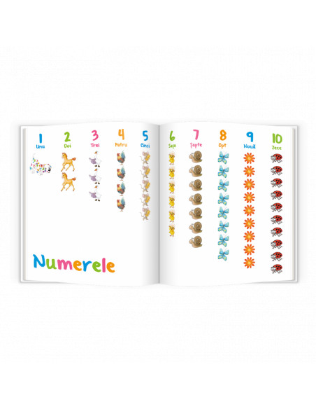 Carte educativa de povesti "Pupo invata sa numere",C1