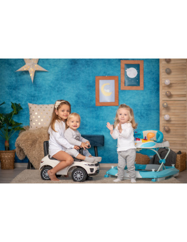 Premergator leagan W1224CE cu eurobaza, Light Blue,10120370003