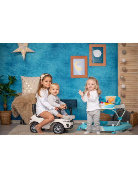 Premergator leagan W1224CE cu eurobaza, Light Blue,10120370003