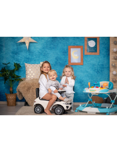 Premergator leagan W1224CE cu eurobaza, Dark Blue,10120370004