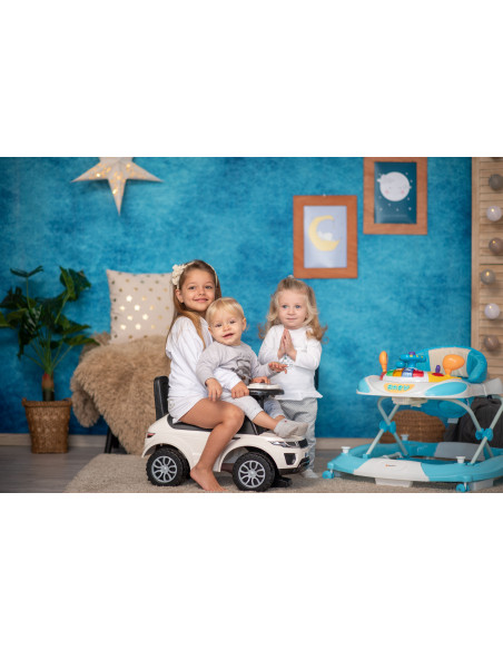 Premergator leagan W1224CE cu eurobaza, Dark Blue,10120370004