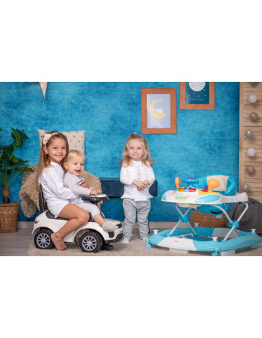 Premergator leagan W1224CE cu eurobaza, Orange,10120370001