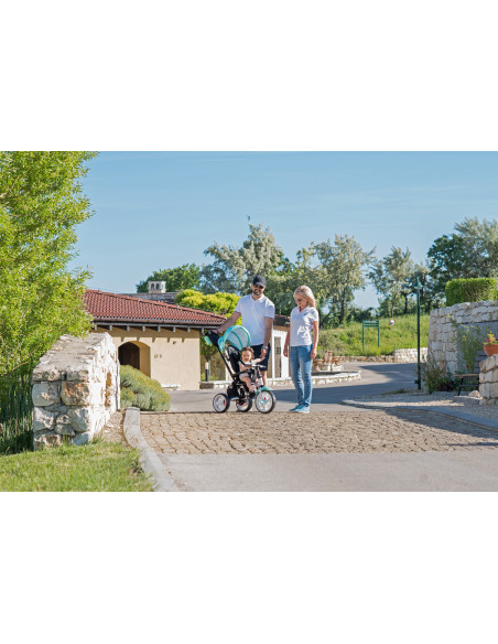 Tricicleta ENDURO, Grey Stars,10050411994