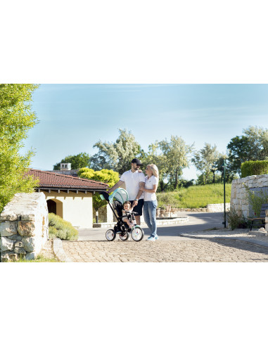 Tricicleta ENDURO, Grey Stars,10050411994