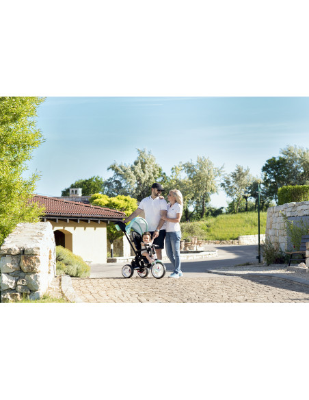 Tricicleta ENDURO, Grey Stars,10050411994