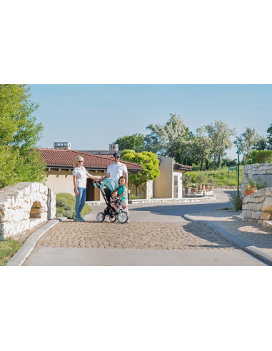 Tricicleta ENDURO, Grey Luxe,10050412102