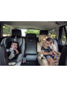 Scaun auto ROTO Isofix, Black,10071272001