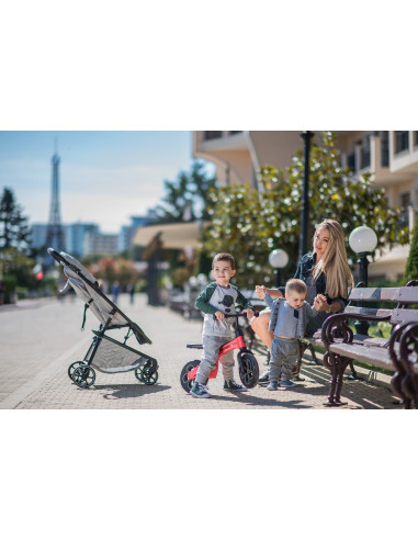 Bicicleta fara pedale SPIDER, Black,10050450009