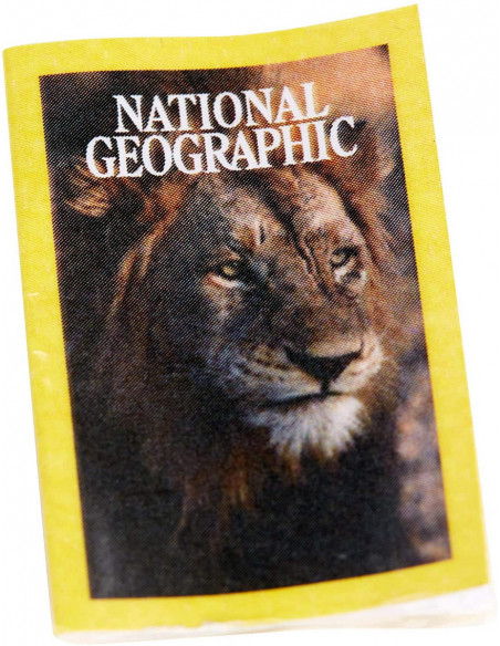 Papusa Barbie National Geographic Fotojurnalista,MTGDM46