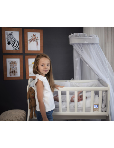 Camera video digitala, functie Vox, ecran color LCD Camera video digitala, functie Vox, ecran color LCD