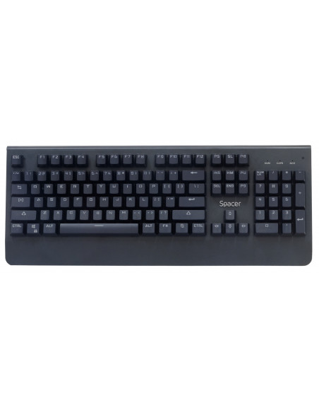 TASTATURA MECANICA SPACER USB, switch-uri mecanice albastre, 50