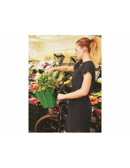 Bellelli Plaza cos pentru bicileta plastic - verde,01PLZ230000
