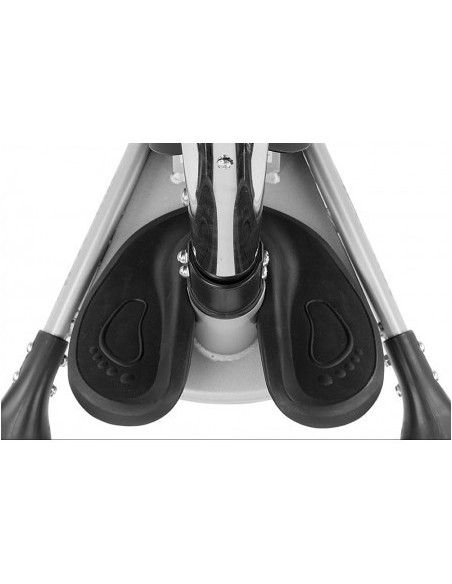 Tricicleta cu scaun reversibil City Green,mm22985