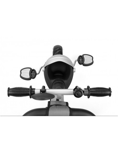 Tricicleta cu scaun reversibil City Green,mm22985