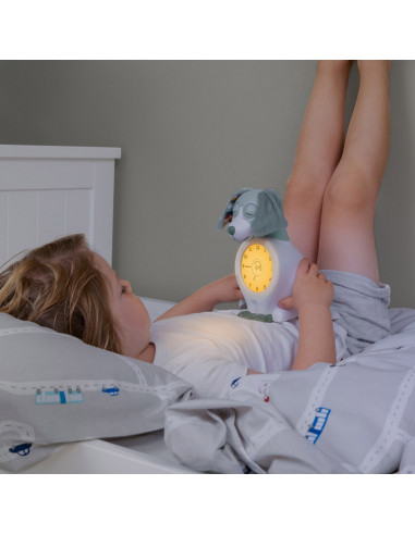 Ceas Antrenor de Somn Davy Roz,ZA-DAVY-03