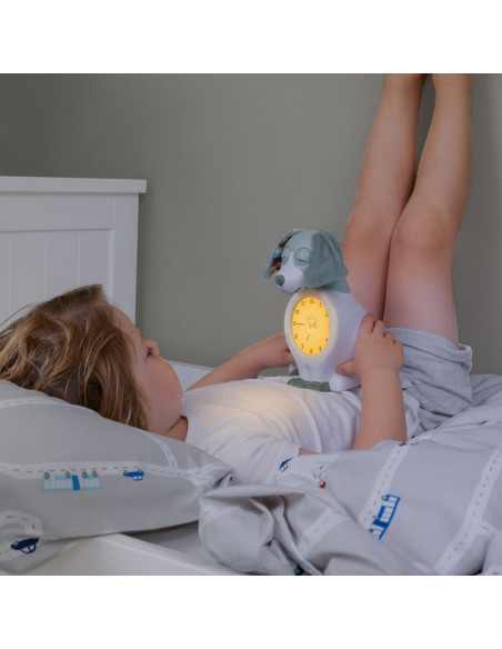 Ceas Antrenor de Somn Davy Roz,ZA-DAVY-03