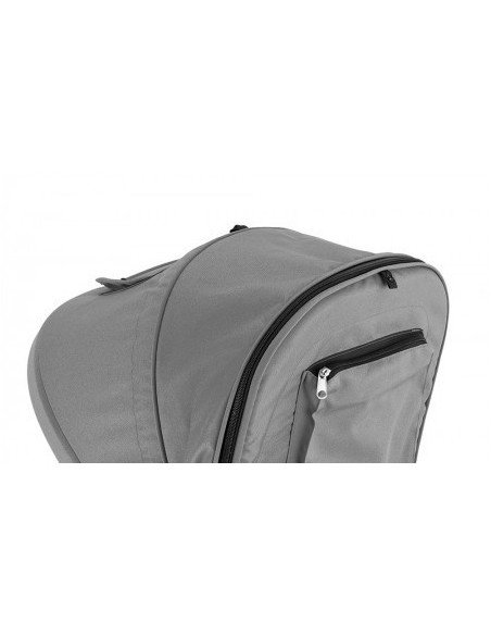 Tricicleta cu scaun reversibil Tomy Red,mm23036