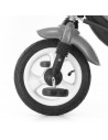 Tricicleta cu scaun reversibil Tomy Green