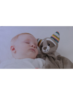 Mini-paturica Muzicala Raccon-ul Robin,ZA-ROBIN-01 2