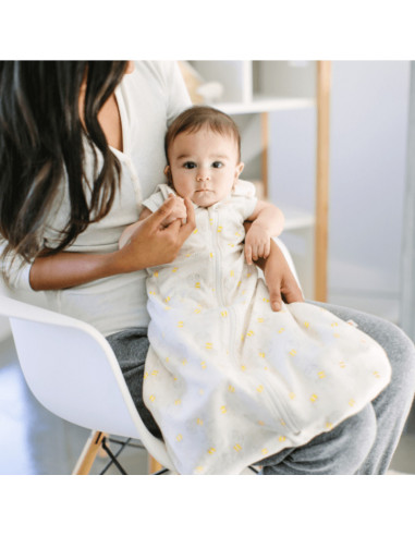 Sac de Dormit Ergobaby Clasic Bee Happy 0-6 luni, 1.0