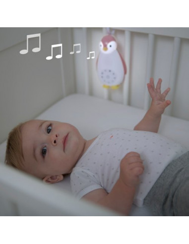 Jucarie Muzicala si Lampa de Veghe Zazu Zoe Roz,ZA-ZOE-03