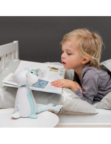 Lampa de Veghe Oita Fin Bleu,ZA-FIN-02