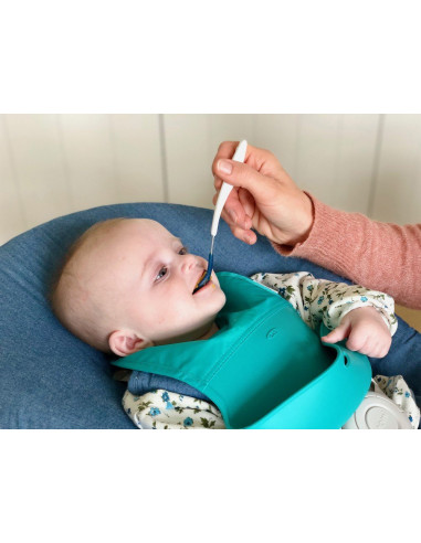 Bavetica pliabila Teal,61135500