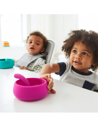 Bol din Silicon Roz,61150300