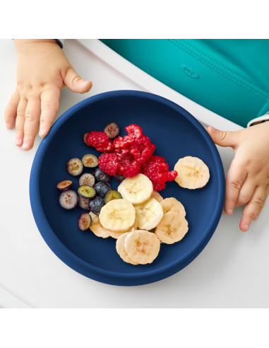 Farfurie din Silicon Navy,61149600