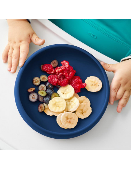 Farfurie din Silicon Navy,61149600