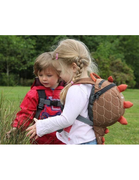 Rucsac Copii cu Ham Detasabil Dragon,L10830