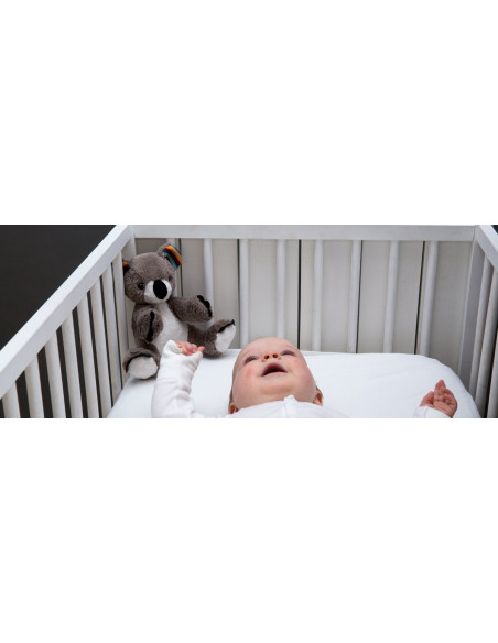 Jucarie Muzicala Zazu Kids Coco,ZA-COCO-01