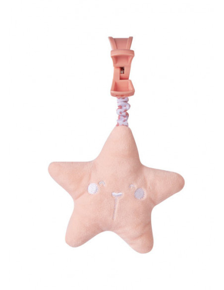 Jucarie Muzicala de Agatat Stea Somon,21711