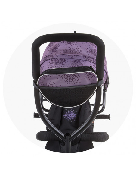 Tricicleta Chipolino Jazz dhalia,TRKJA0214DH